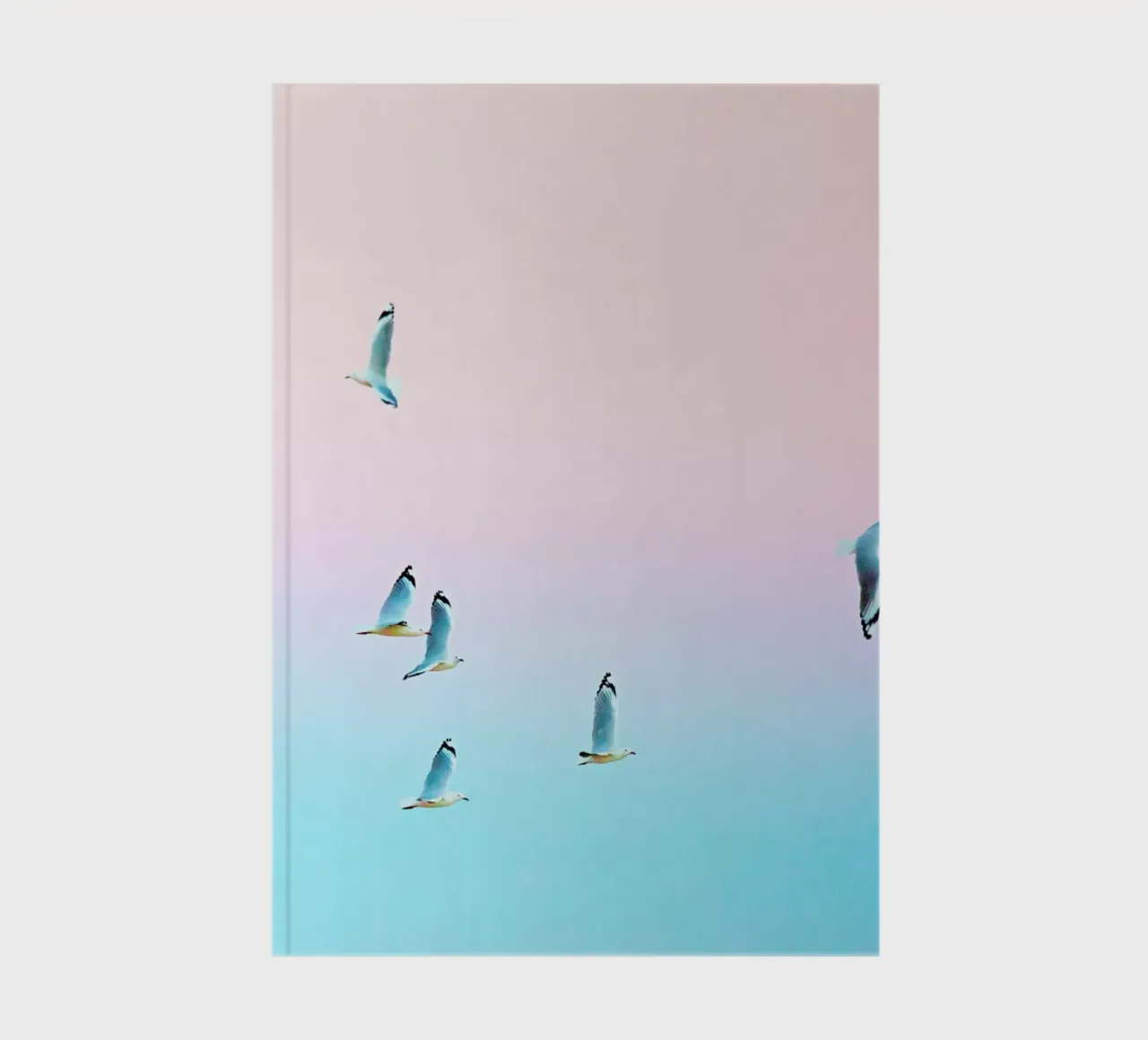Pastgulls notebook by Charlotte Curd