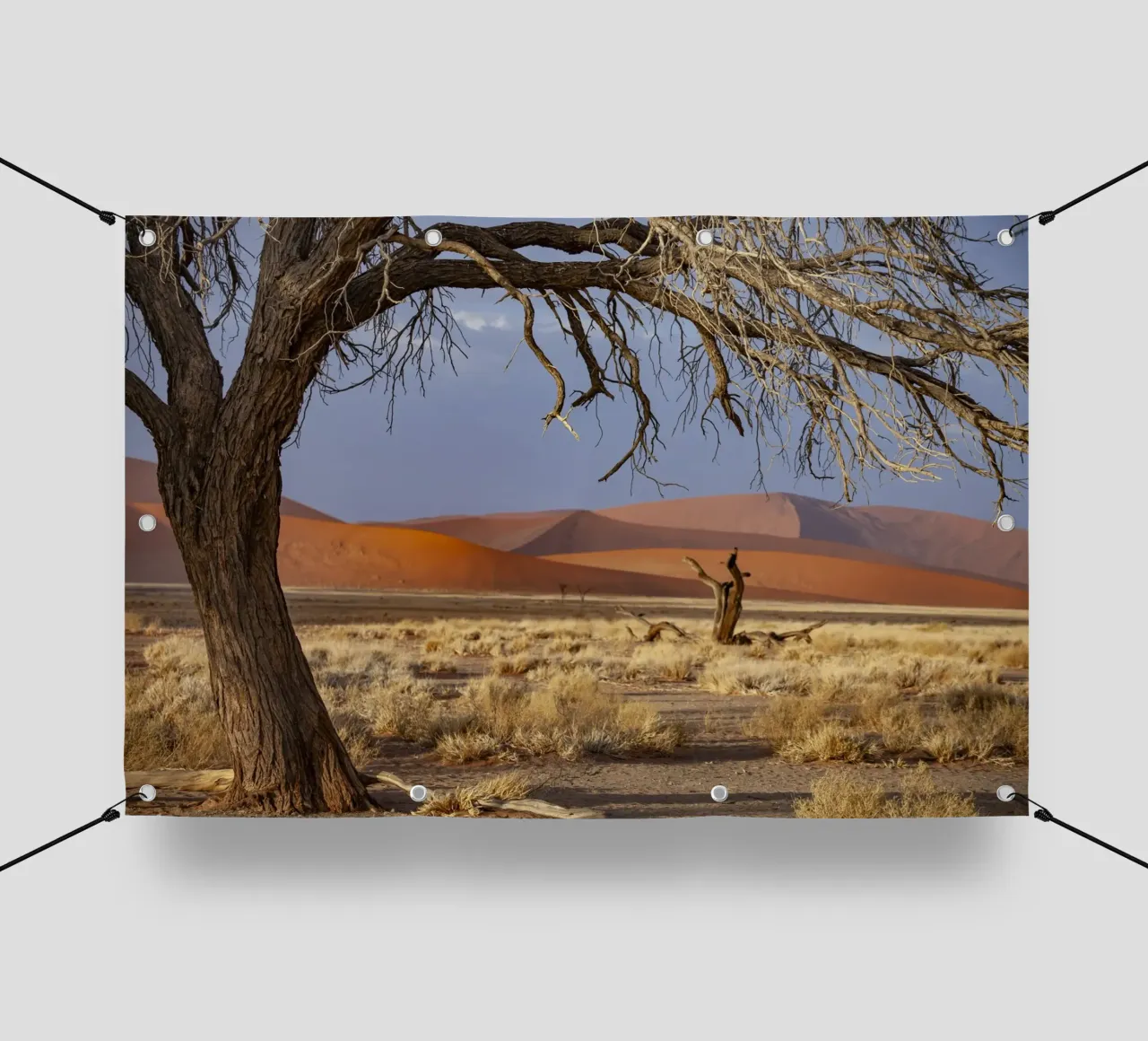Sossusvlei Dünen Namibia telo in pvc da Reisefotografie - Bilder aus aller Welt