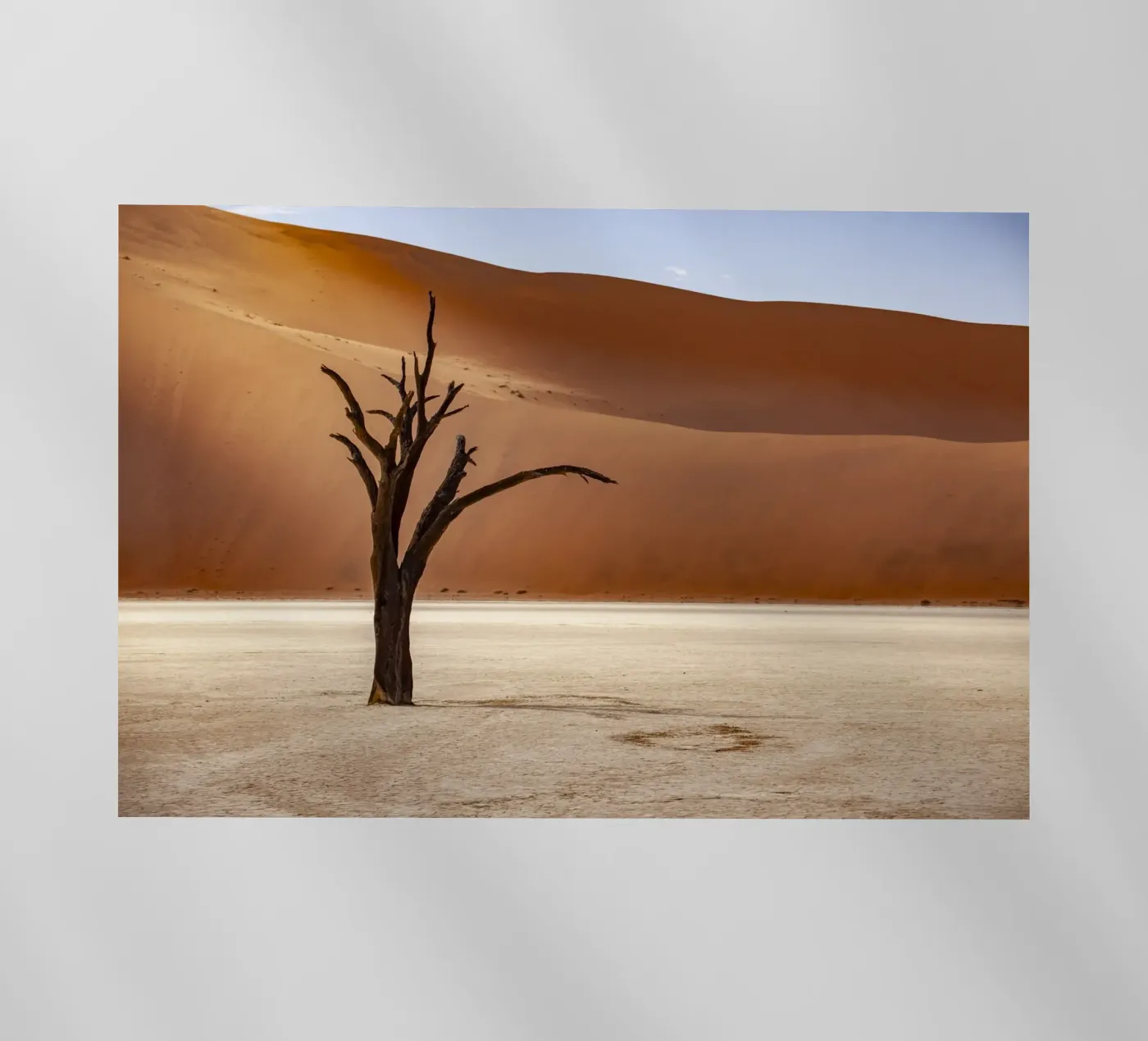 Deadvlei Namibia pellicola backlit da Reisefotografie - Bilder aus aller Welt