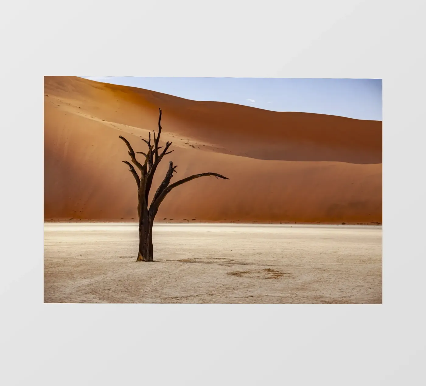 Deadvlei Namibia pellicola backlit da Reisefotografie - Bilder aus aller Welt