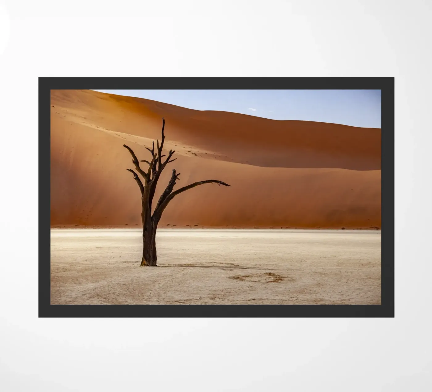 Deadvlei Namibia zerbino da Reisefotografie - Bilder aus aller Welt