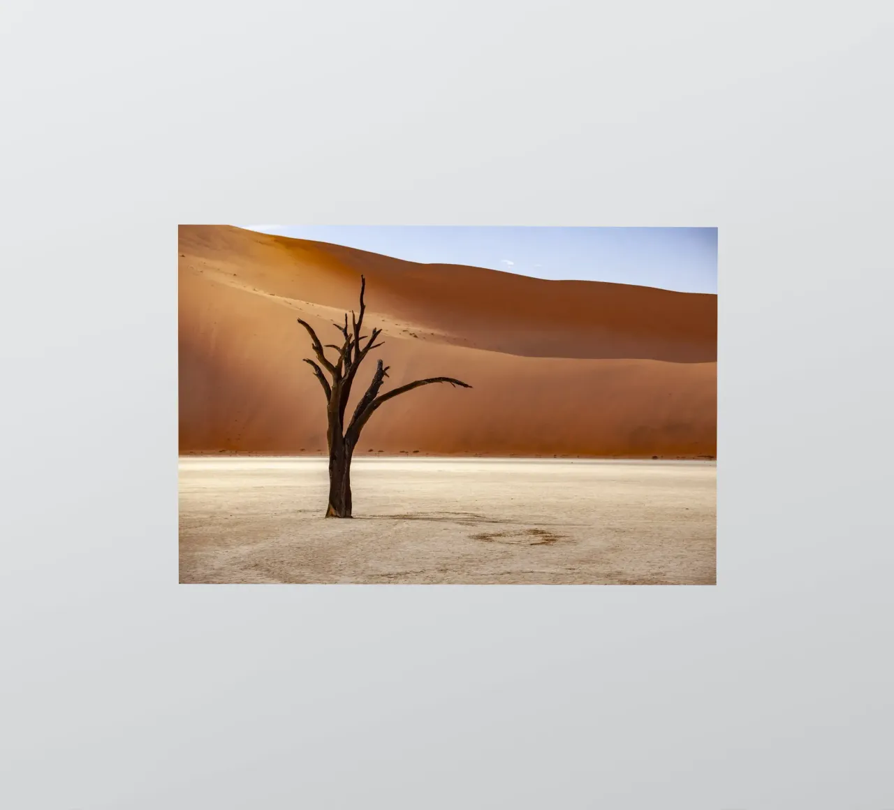 Deadvlei Namibia sticker by Reisefotografie - Bilder aus aller Welt