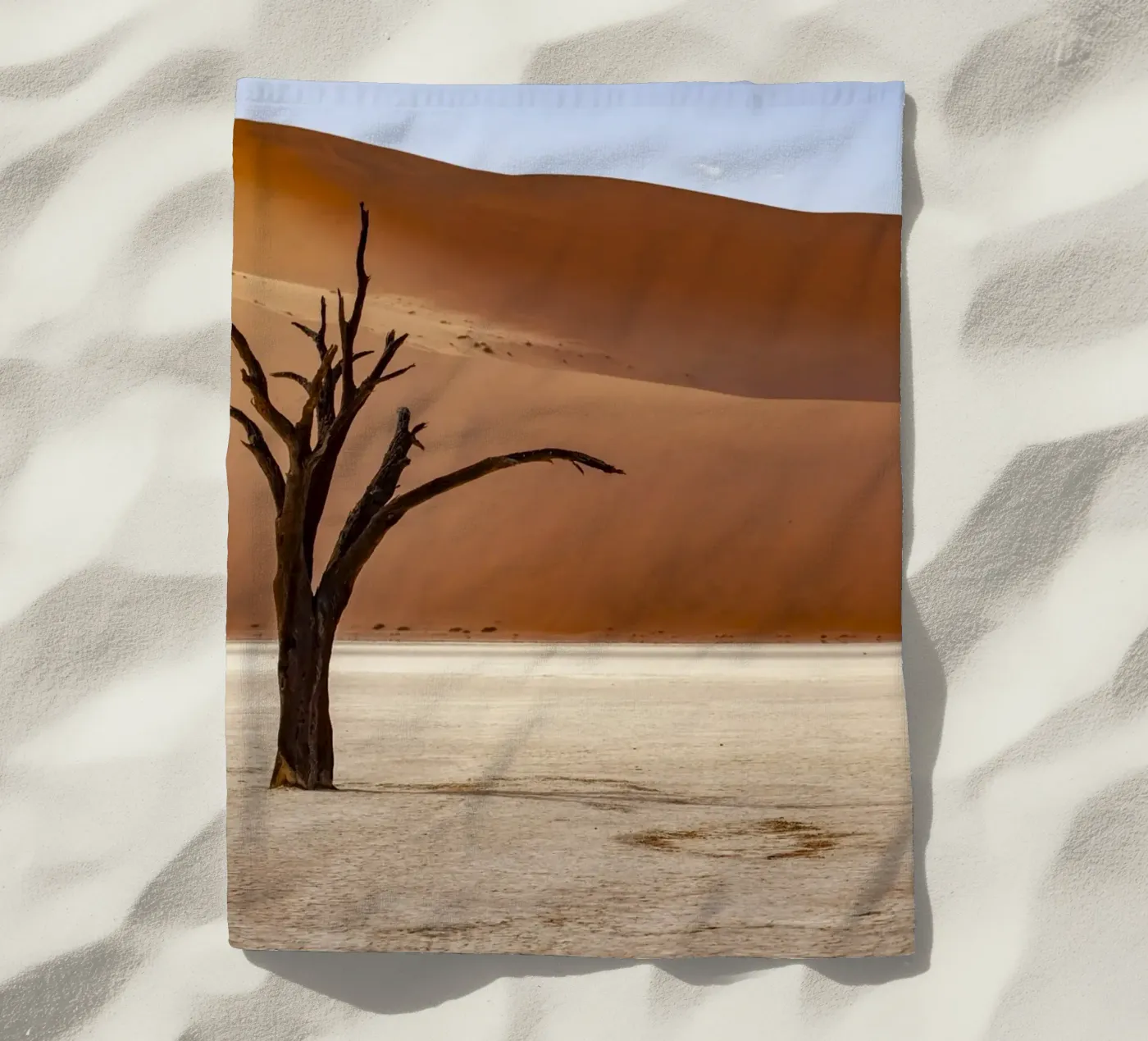 Deadvlei Namibia telo mare da Reisefotografie - Bilder aus aller Welt