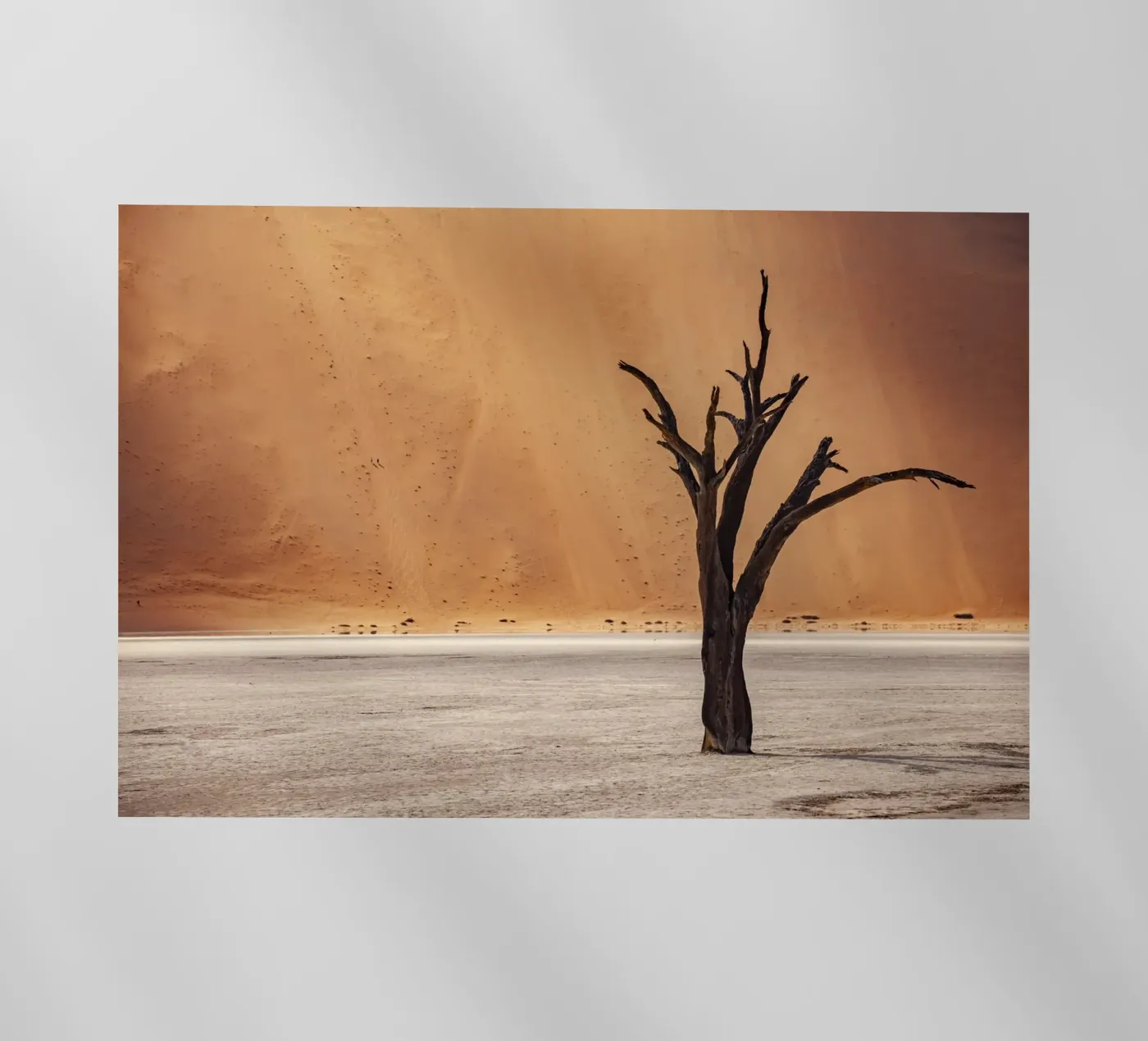 Deadvlei Namibia pellicola backlit da Reisefotografie - Bilder aus aller Welt