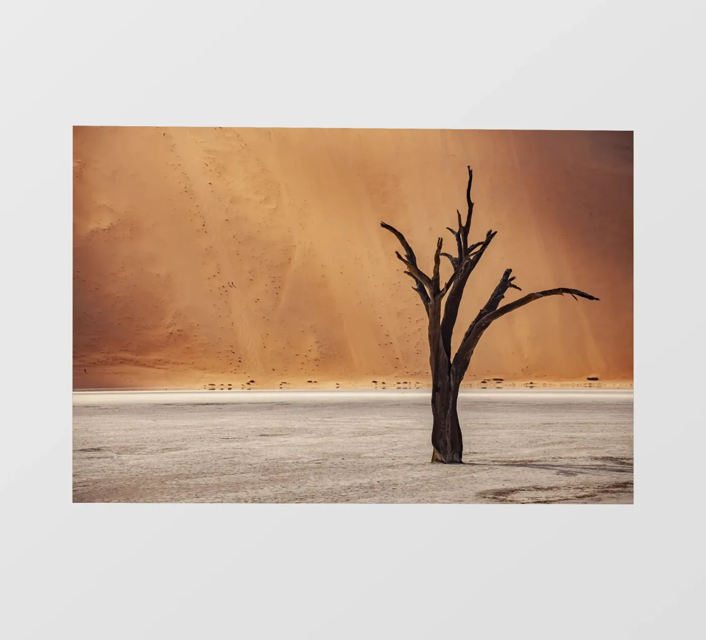 Deadvlei Namibia pellicola backlit da Reisefotografie - Bilder aus aller Welt
