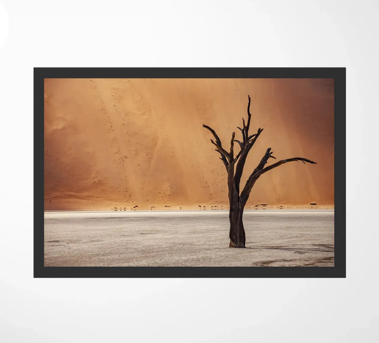 Deadvlei Namibia zerbino da Reisefotografie - Bilder aus aller Welt