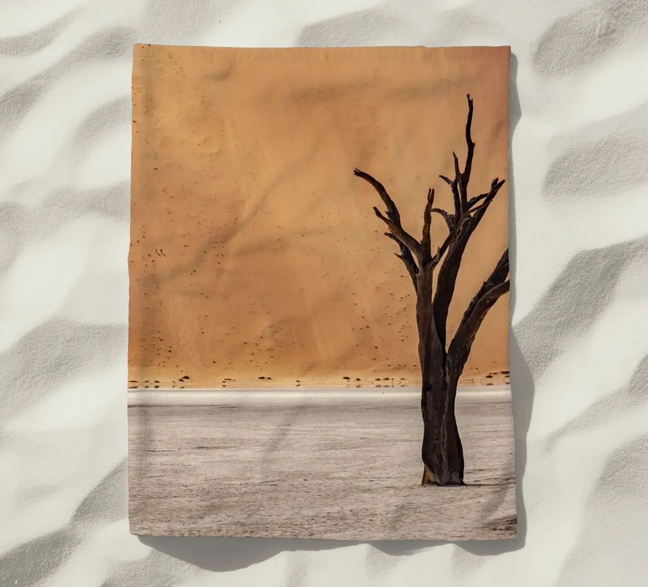 Deadvlei Namibia telo mare da Reisefotografie - Bilder aus aller Welt