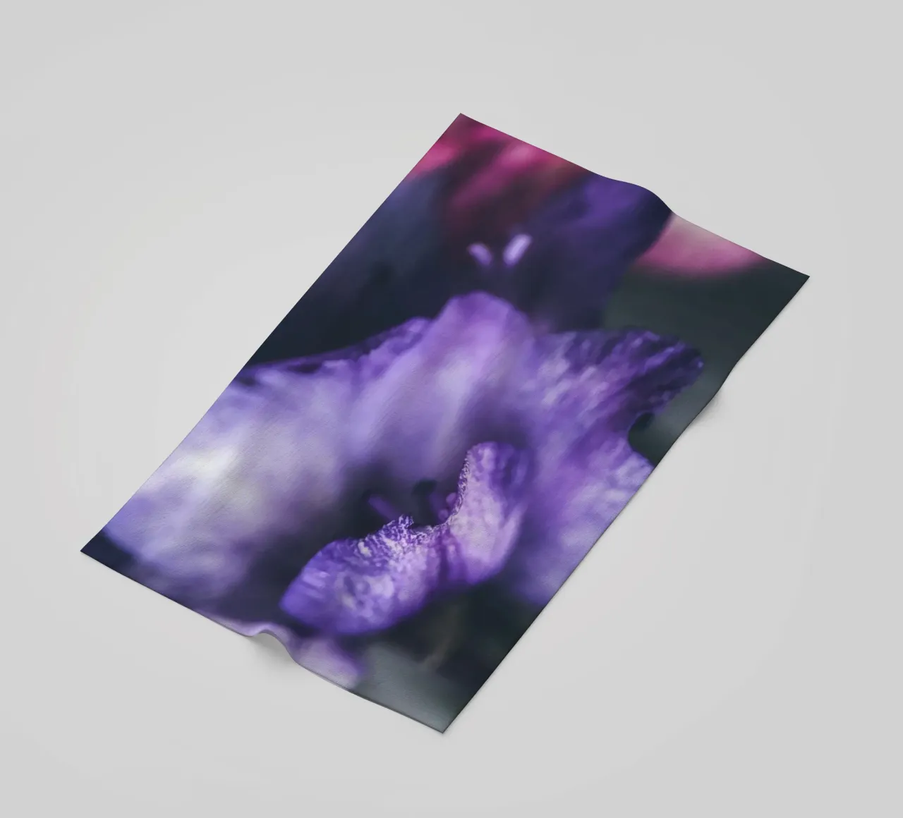 Lila Flower telo mare da Flo Klein