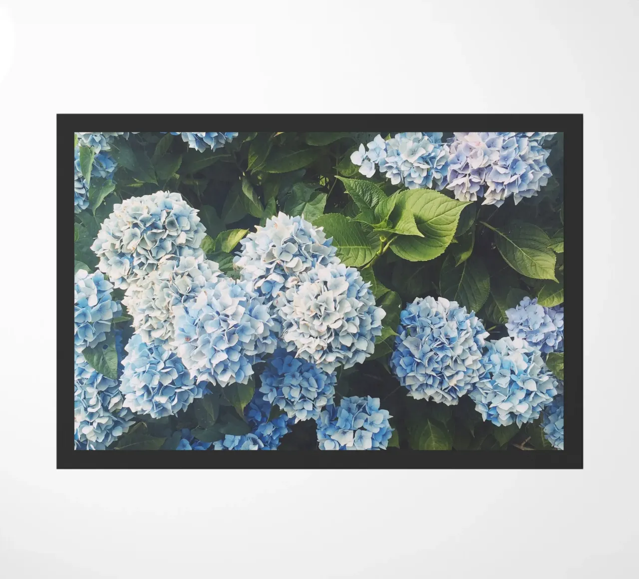Blue Hydrangea doormat by Cassia Beck Photography