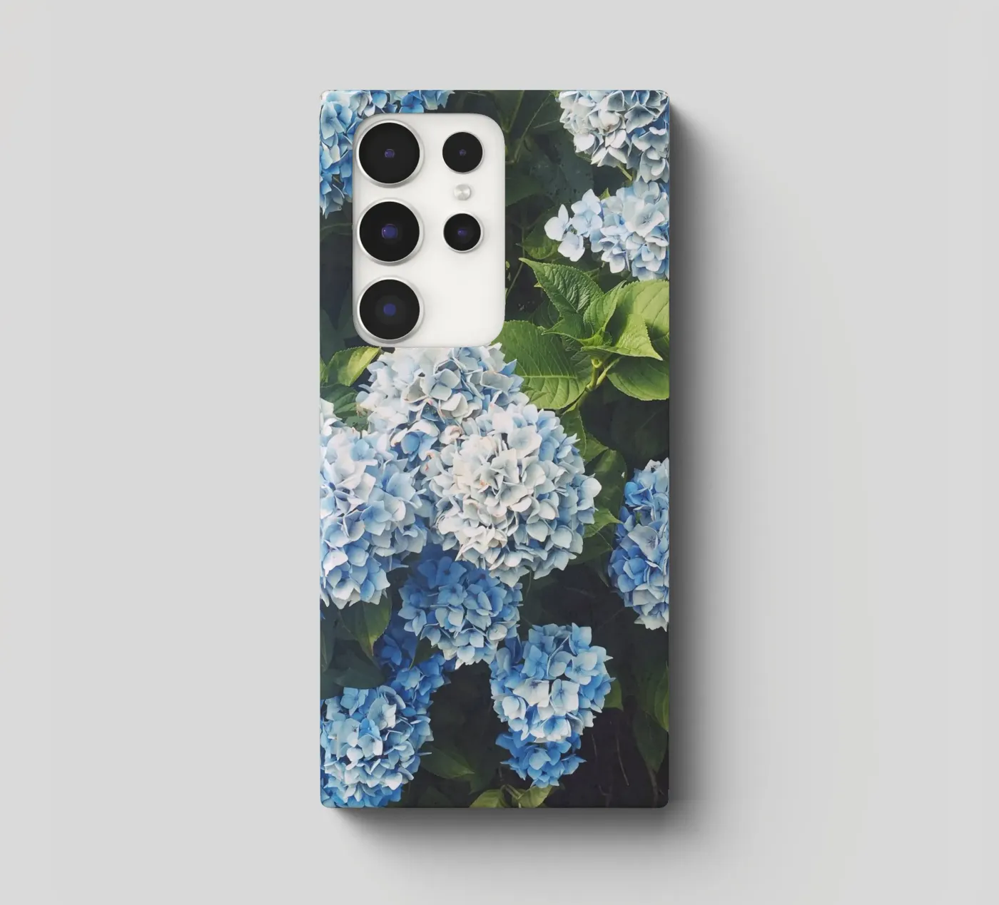 Ortensia blu cover samsung da Cassia Beck Photography