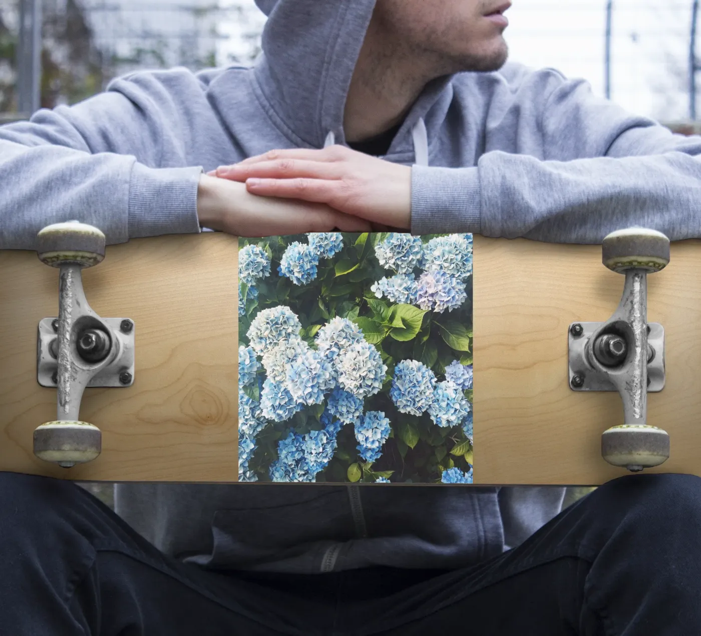 Blue Hydrangea sticker by Cassia Beck Photography
