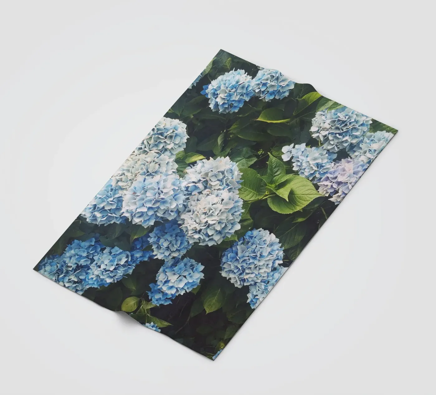 Blue Hydrangea fleecedeken van Cassia Beck Photography