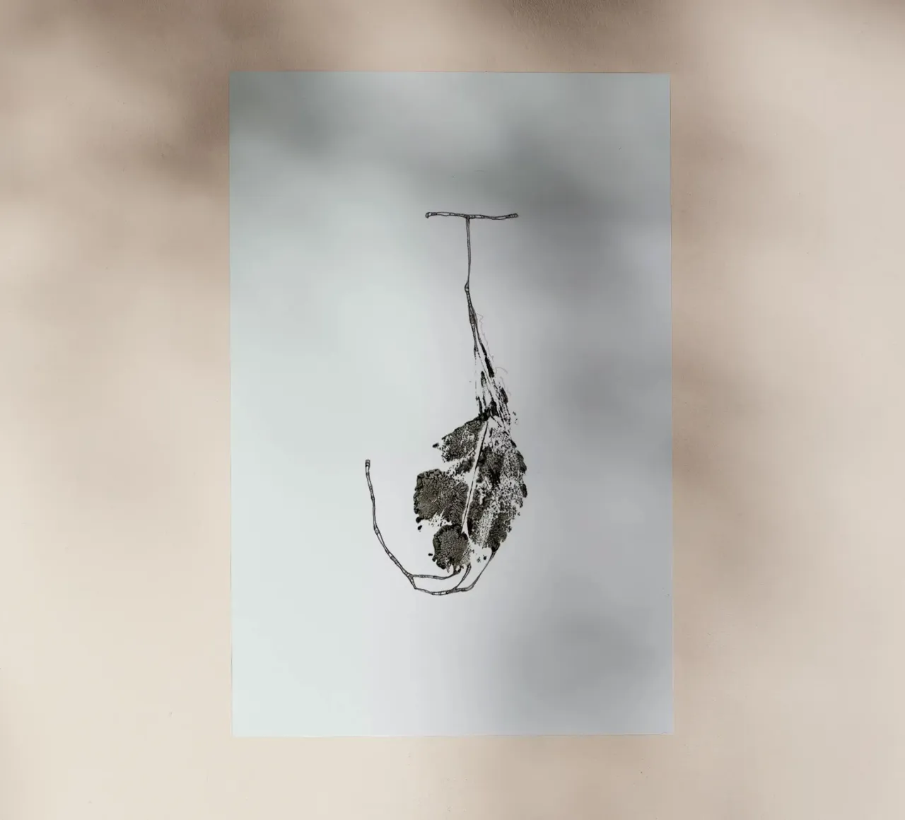 J pellicola backlit da Marina Guiu