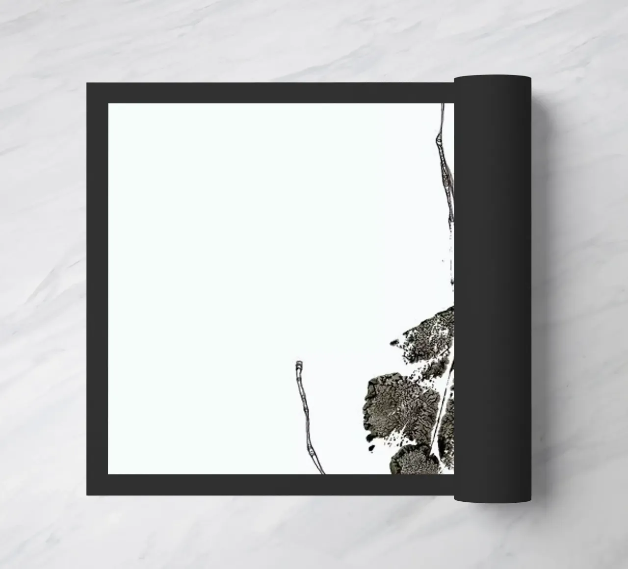 J zerbino da Marina Guiu