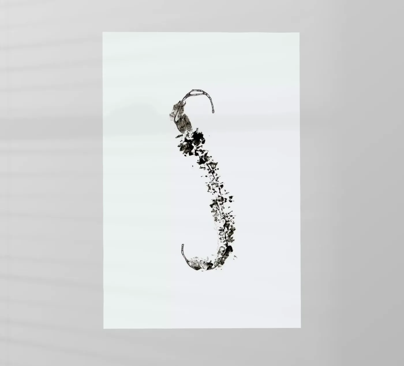 S pellicola backlit da Marina Guiu