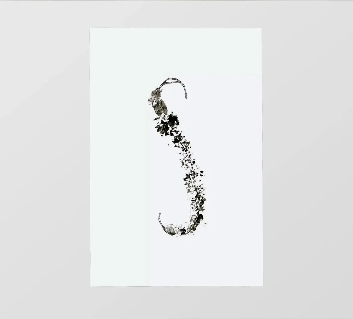 S pellicola backlit da Marina Guiu