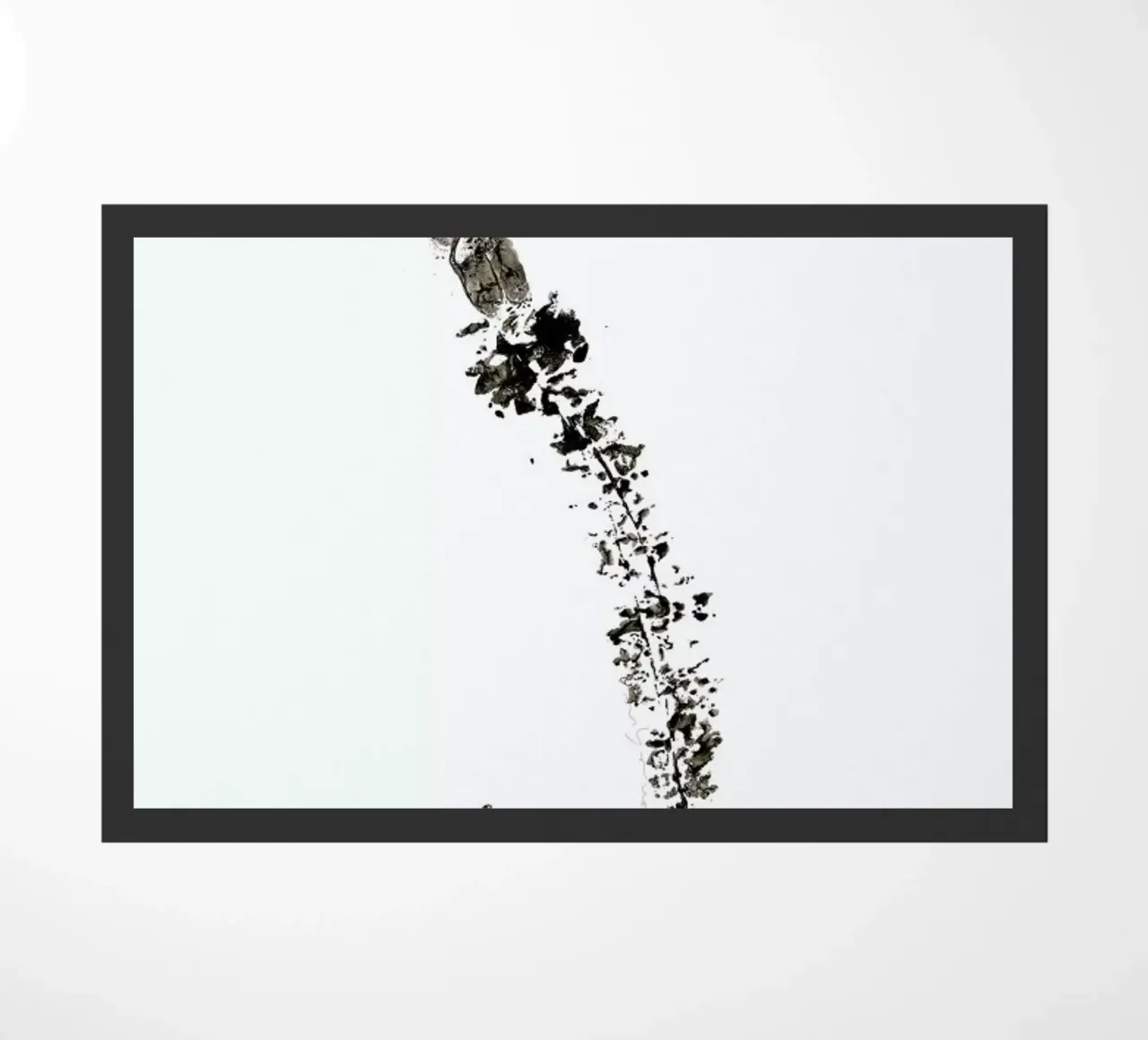 S zerbino da Marina Guiu