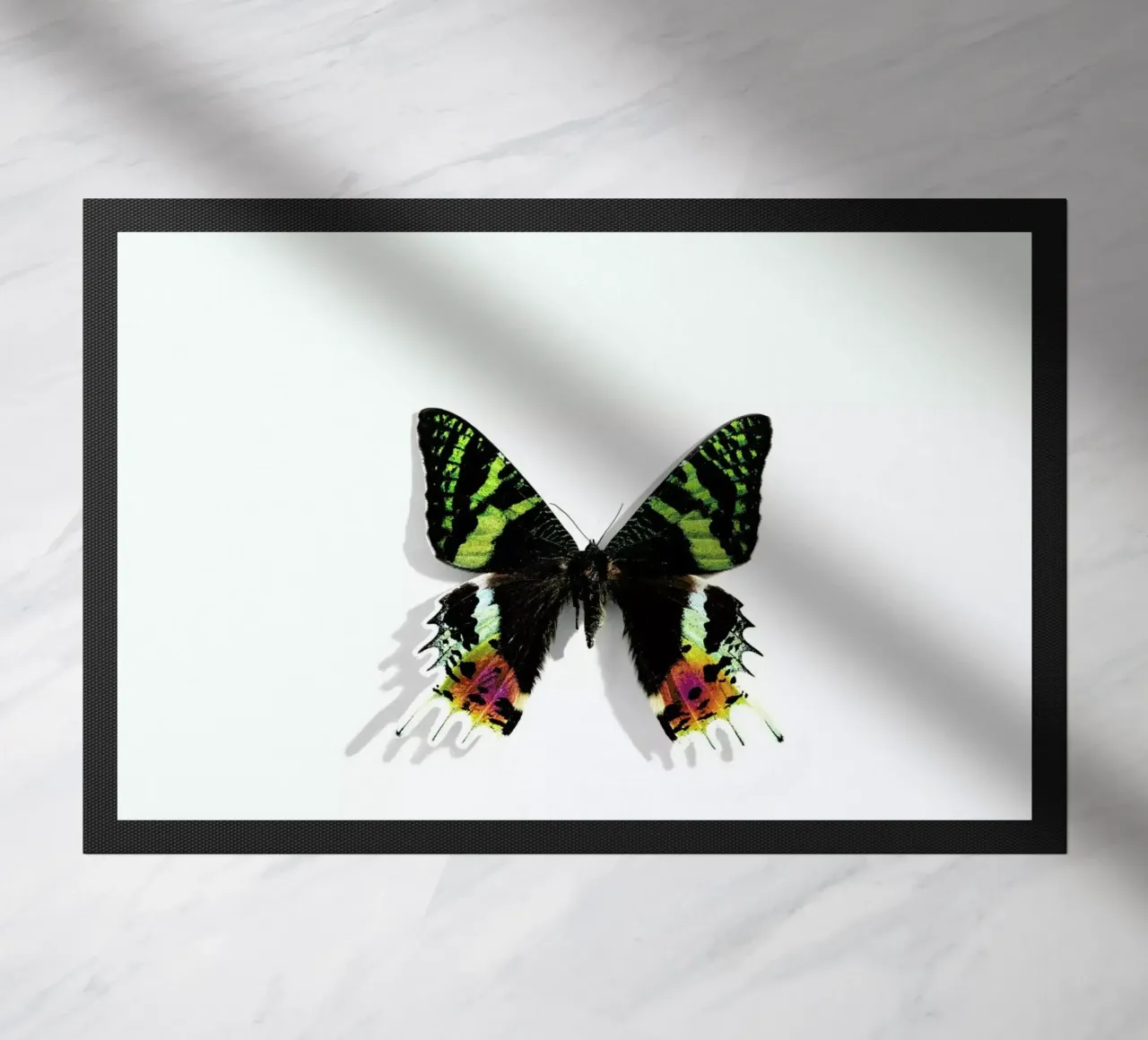 Butterflies 8 zerbino da Günther Egger