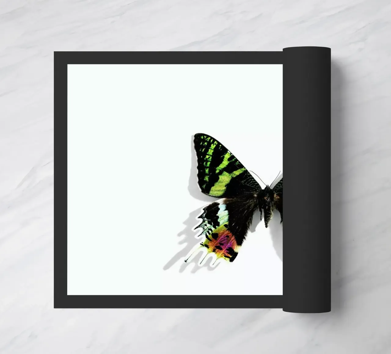 Butterflies 8 zerbino da Günther Egger