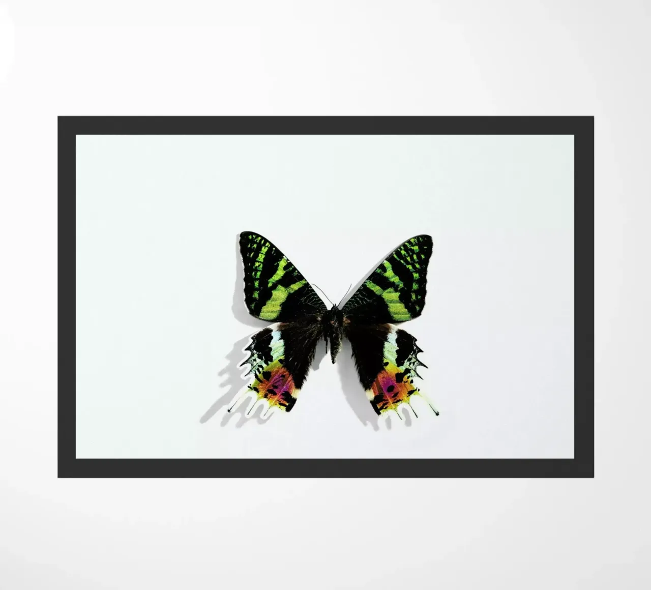 Butterflies 8 zerbino da Günther Egger