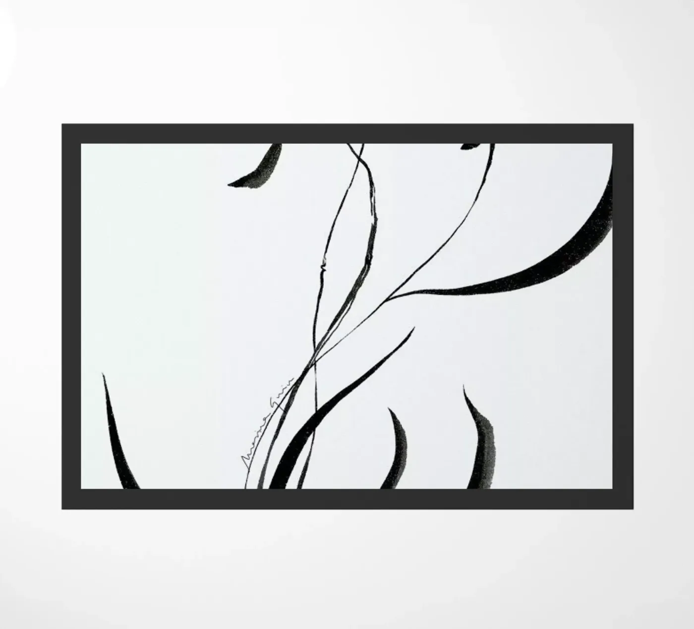 Orchid 1 zerbino da Marina Guiu