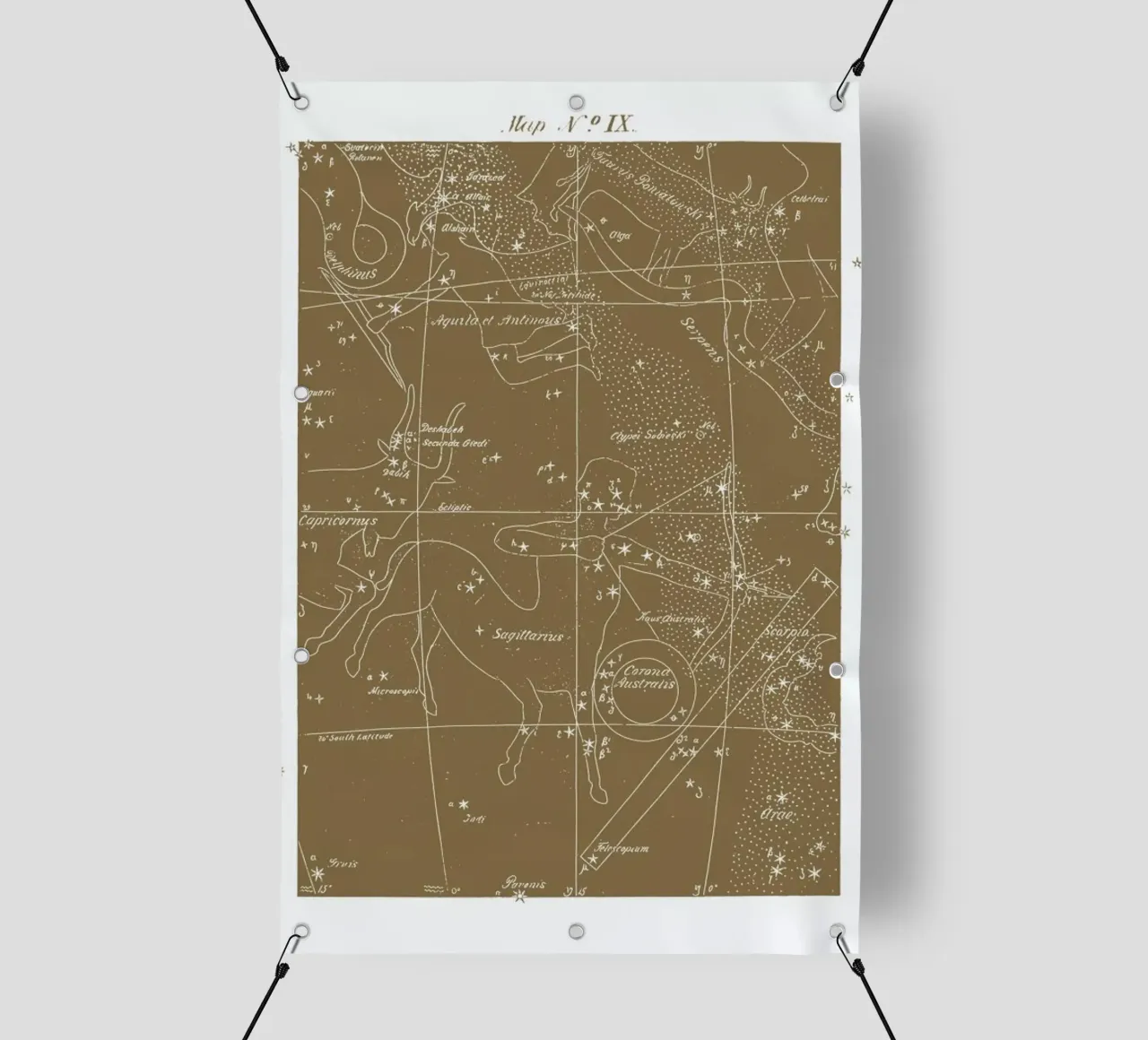 Sagittarius Gold telo in pvc da Astër