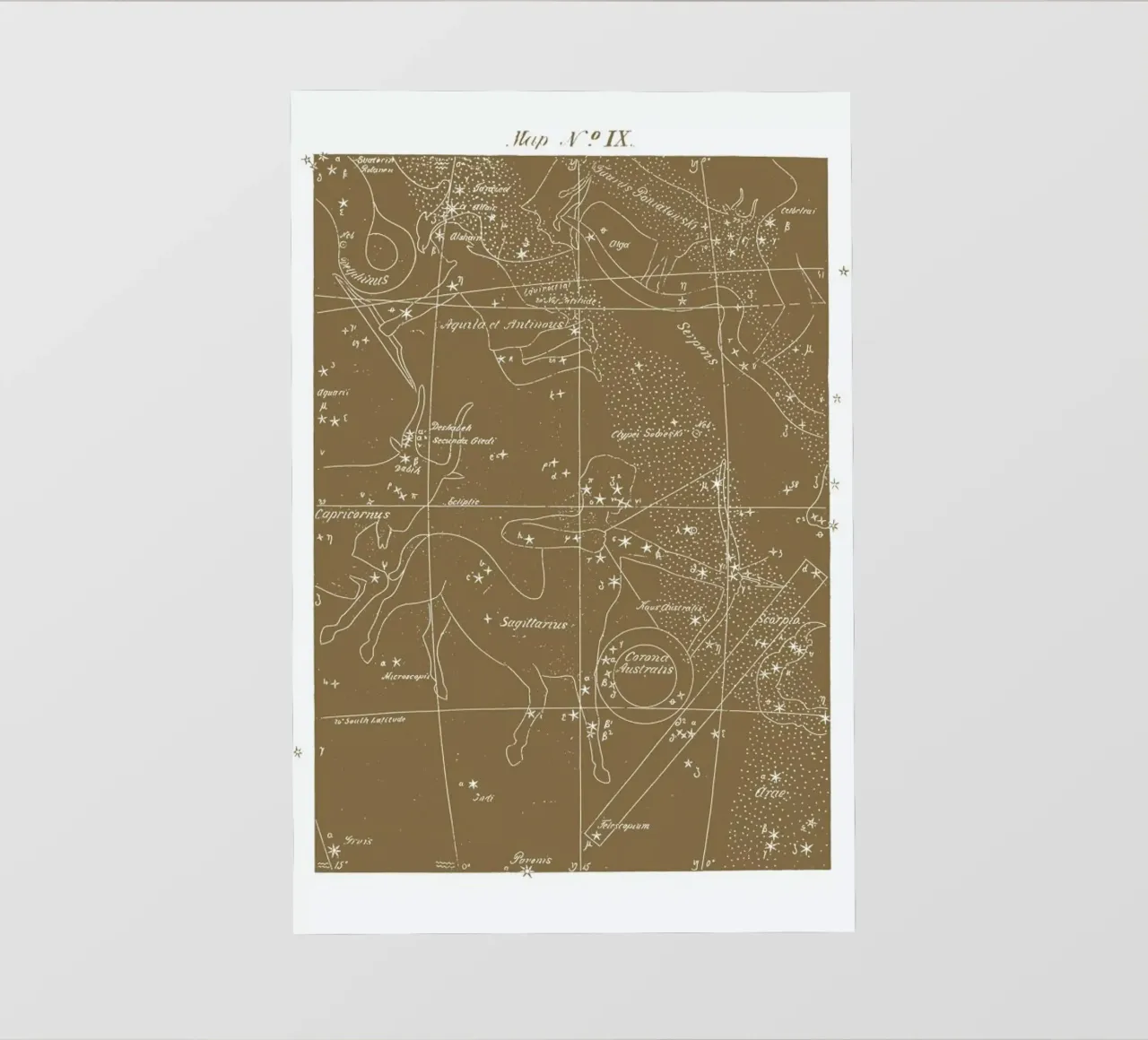 Sagittarius Gold telo in pvc da Astër