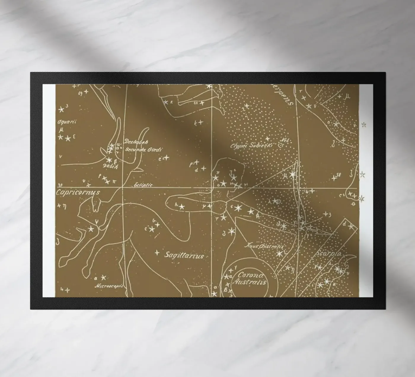 Sagittarius Gold zerbino da Astër