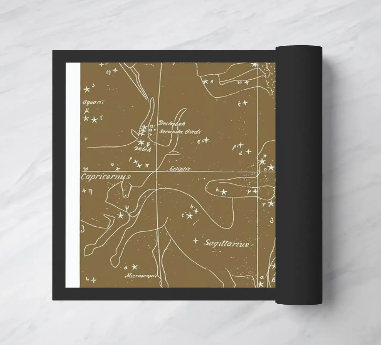 Sagittarius Gold zerbino da Astër
