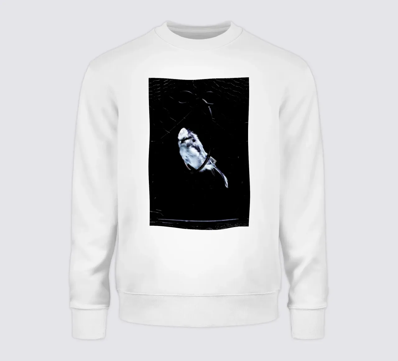 Birds Everywhere 5 felpa da Günther Egger