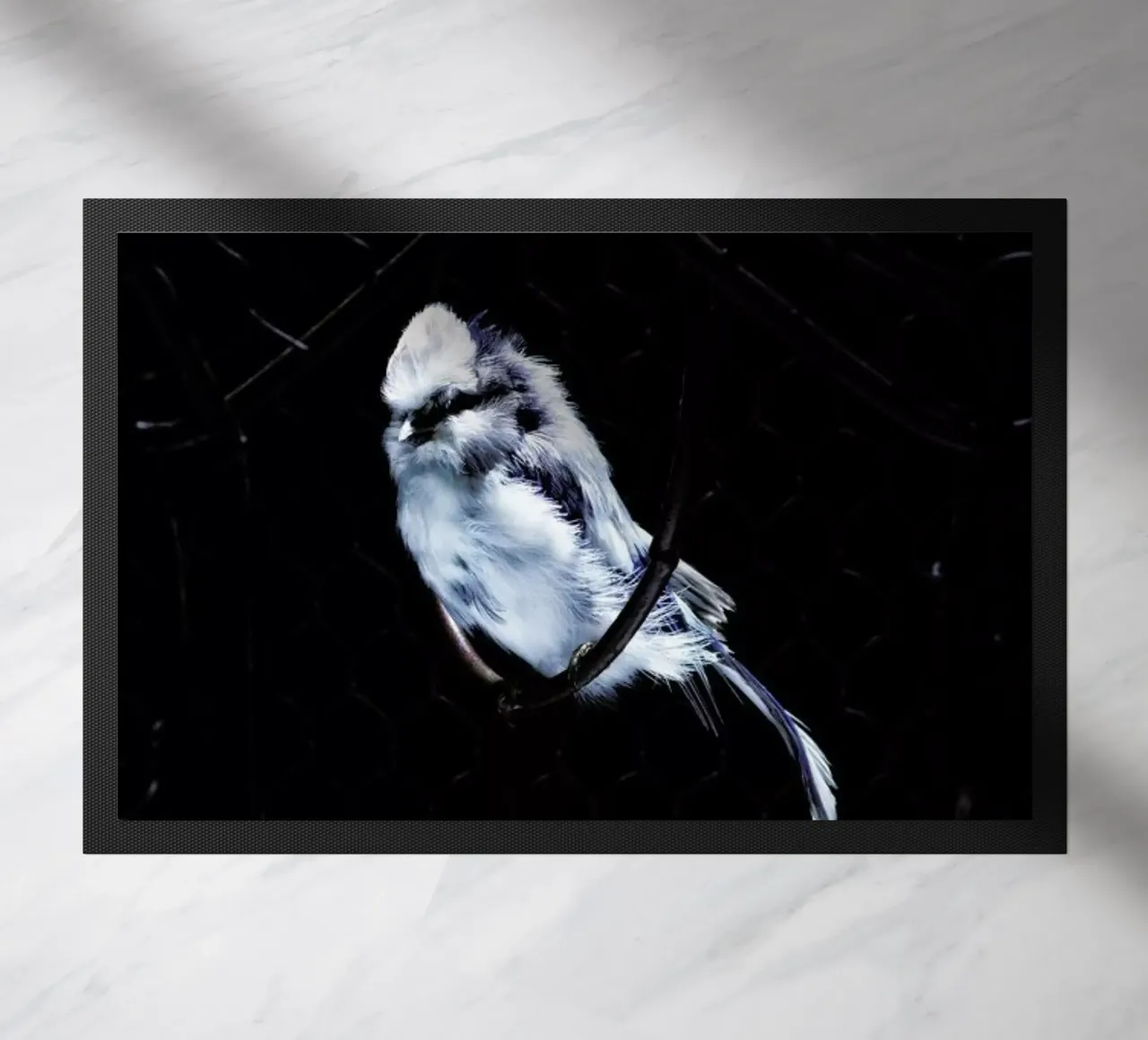 Birds Everywhere 5 zerbino da Günther Egger