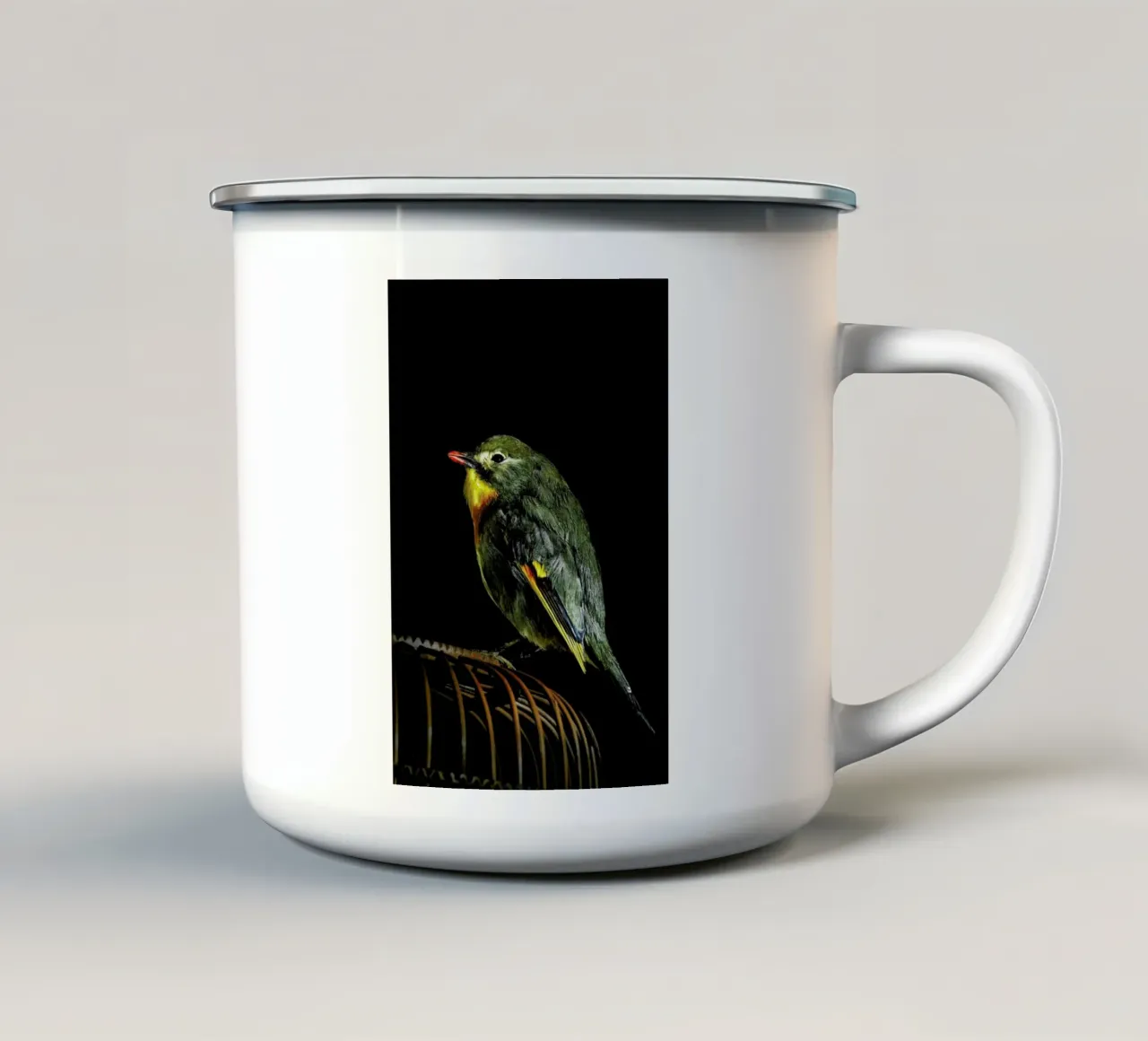 Birds Everywhere 12 tazza in smalto da Günther Egger