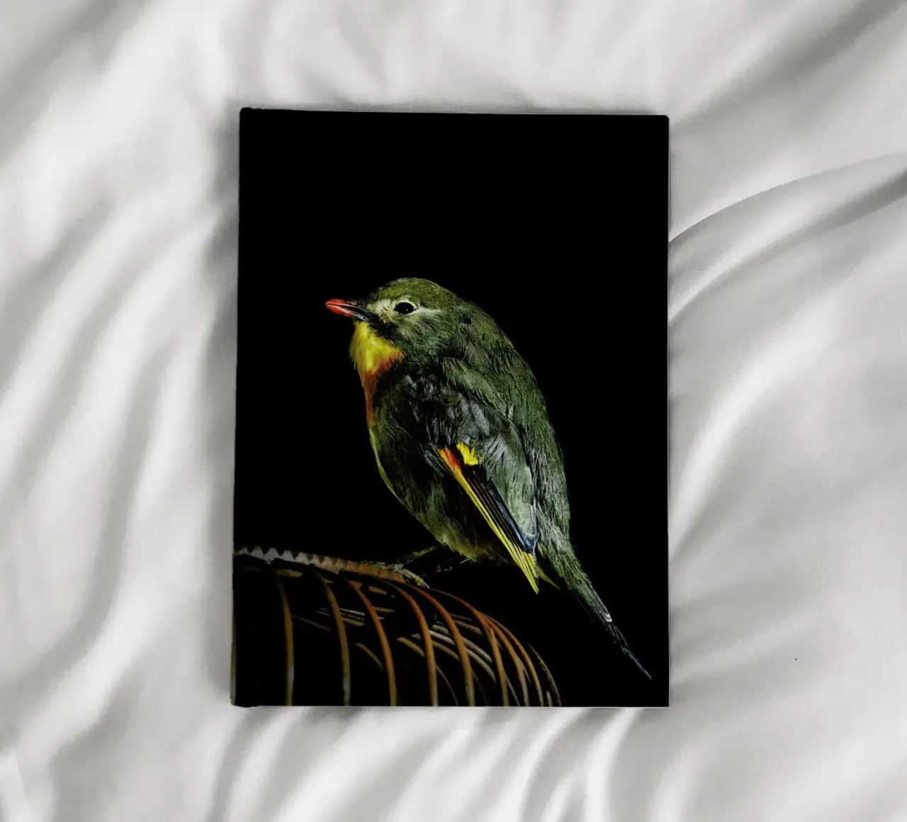 Birds Everywhere 12 notebook by Günther Egger