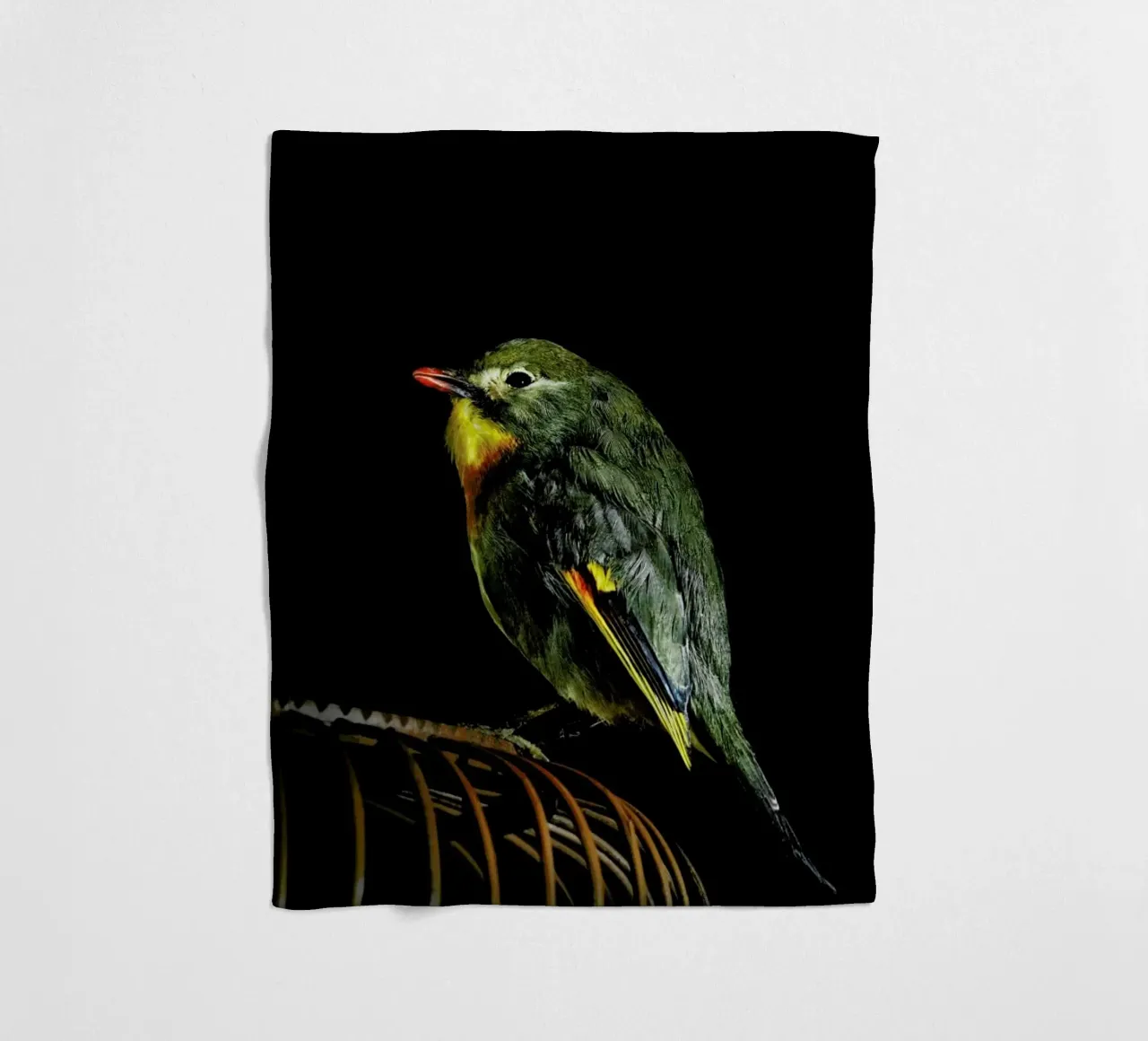 Birds Everywhere 12 coperta in pile da Günther Egger