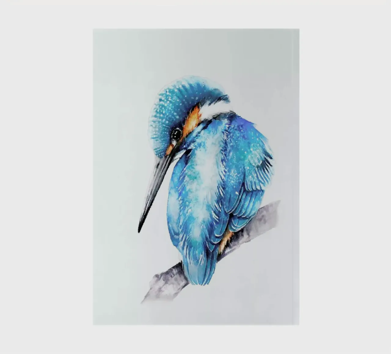 Kingfisher on the branch diario da Karolina Kijak