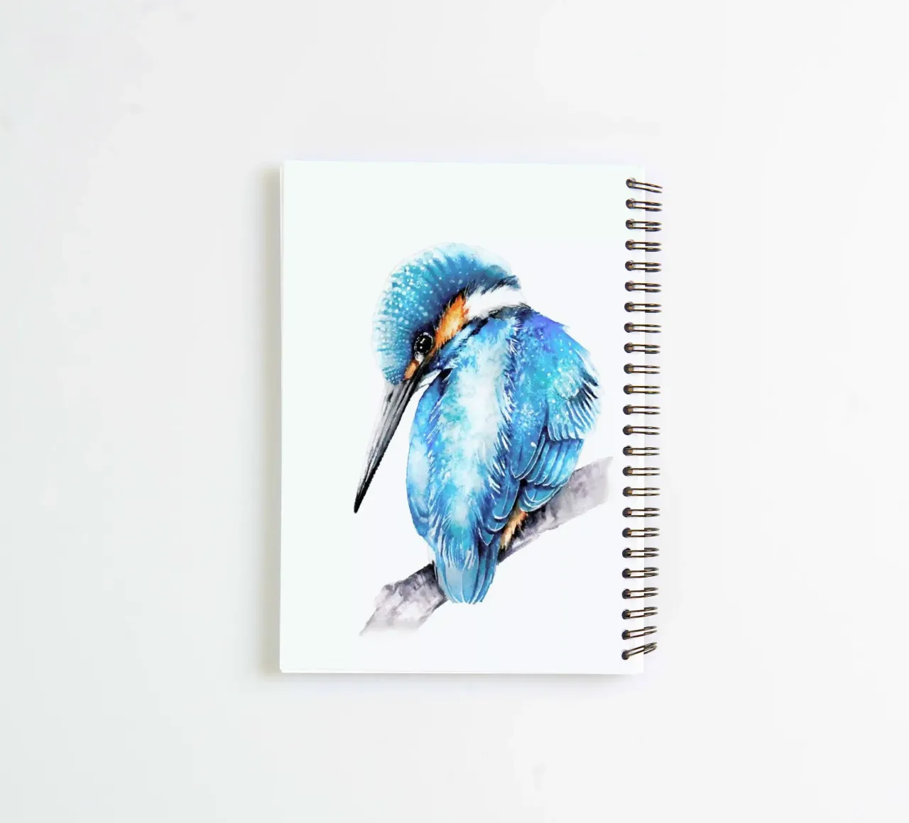 Kingfisher on the branch diario ad anelli da Karolina Kijak