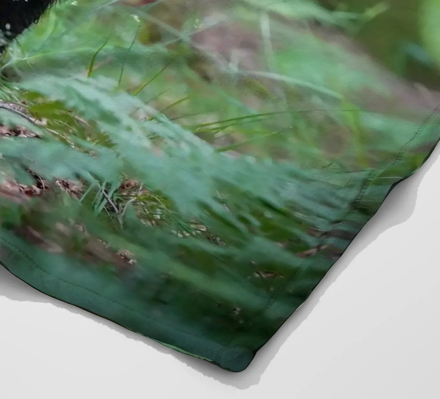 Cinghiale coperta in pile da Tom's Wildlife