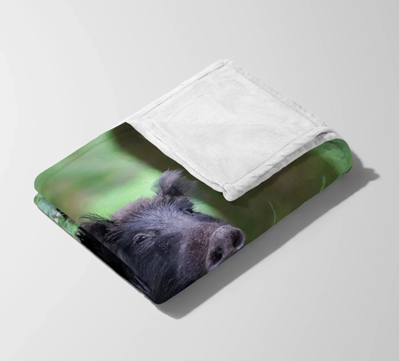 Cinghiale coperta in pile da Tom's Wildlife