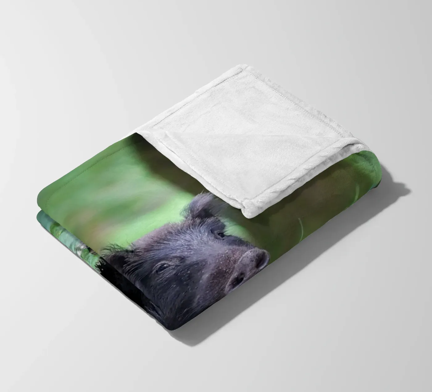 Cinghiale coperta in pile da Tom's Wildlife