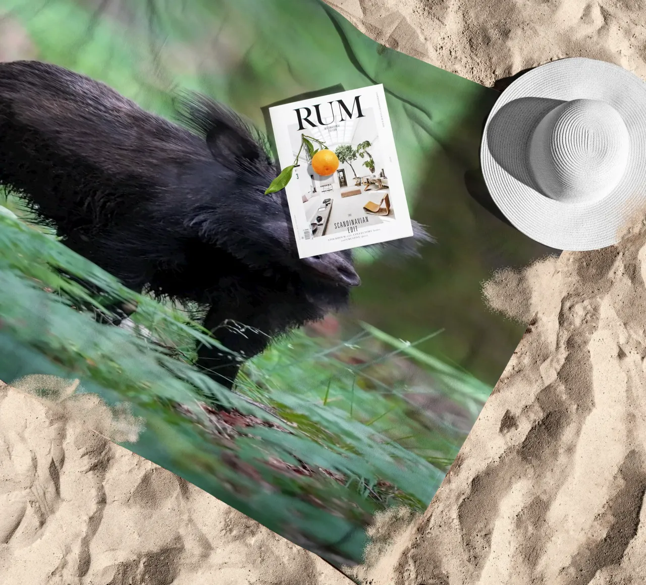 Cinghiale telo mare da Tom's Wildlife