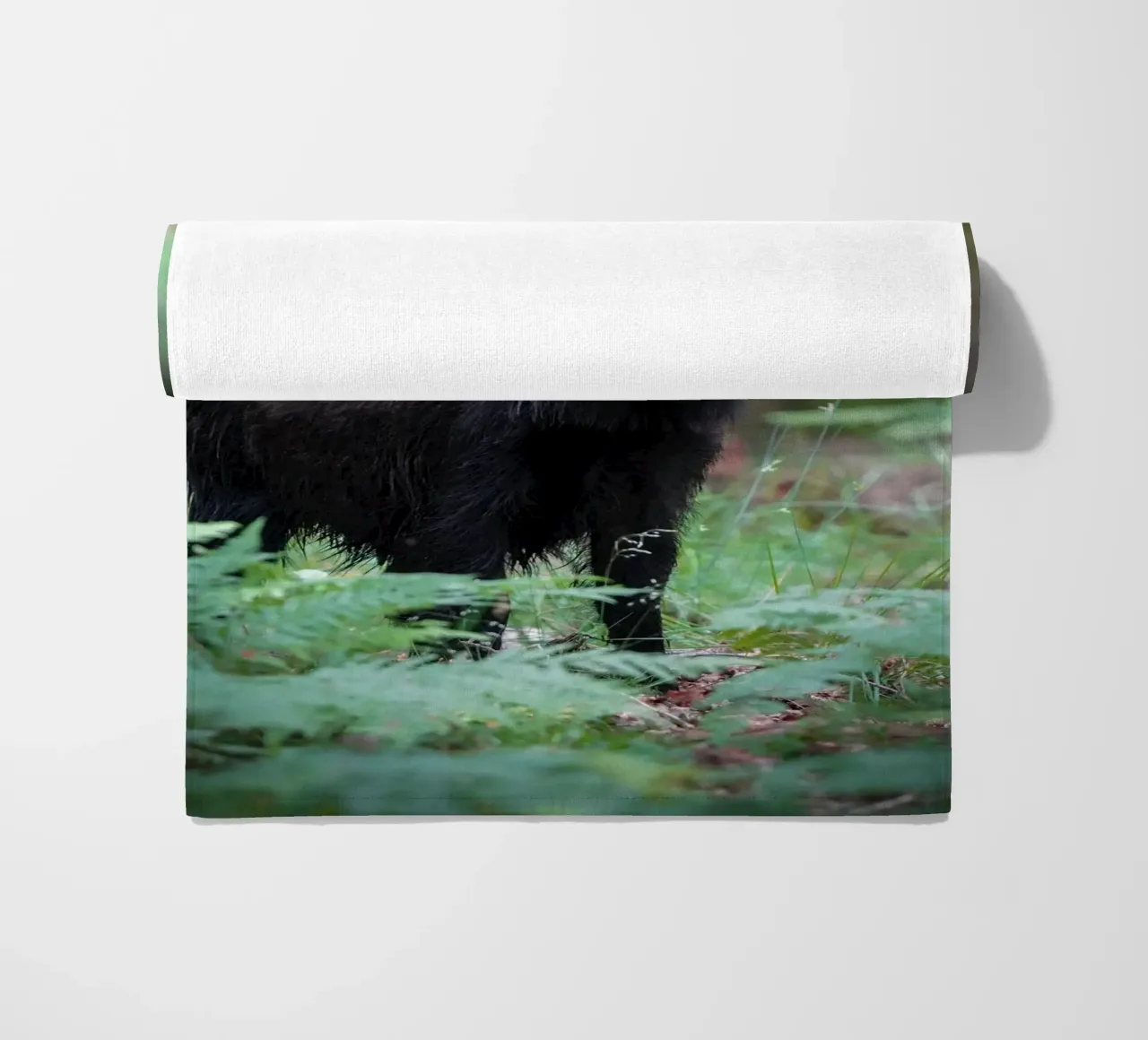 Cinghiale telo mare da Tom's Wildlife