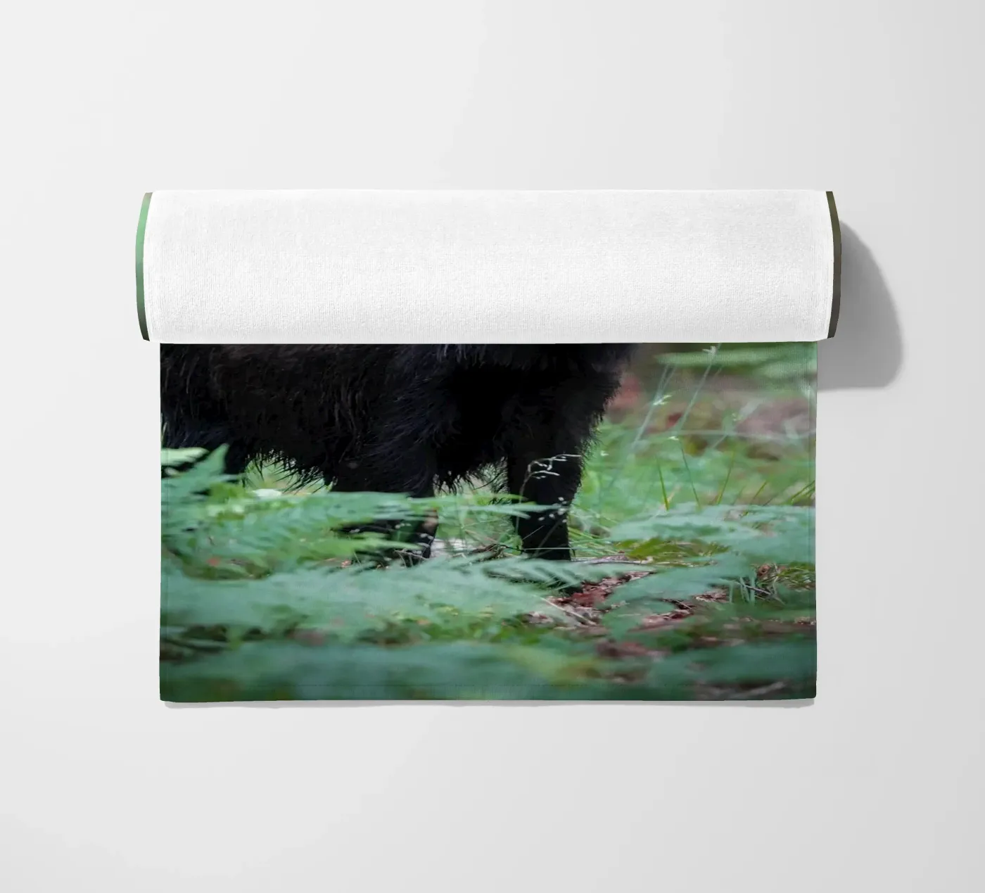 Cinghiale telo mare da Tom's Wildlife