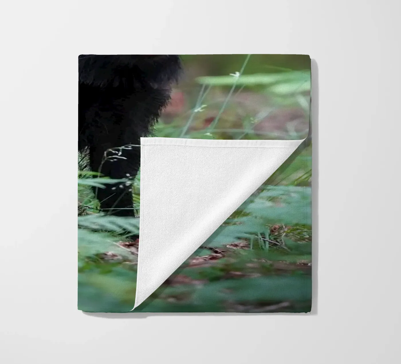 Cinghiale telo mare da Tom's Wildlife