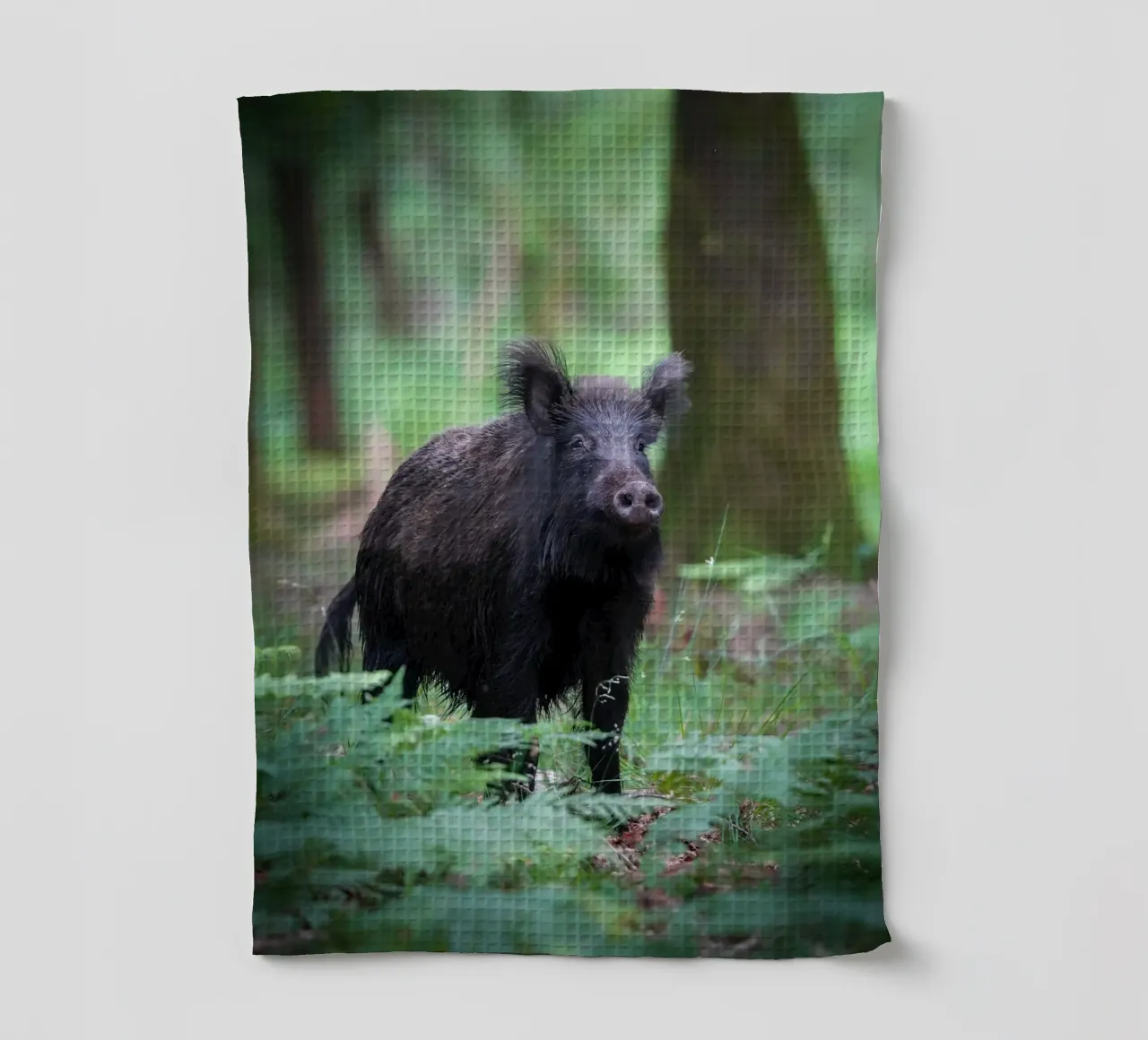 Cinghiale canovaccio da cucina da Tom's Wildlife