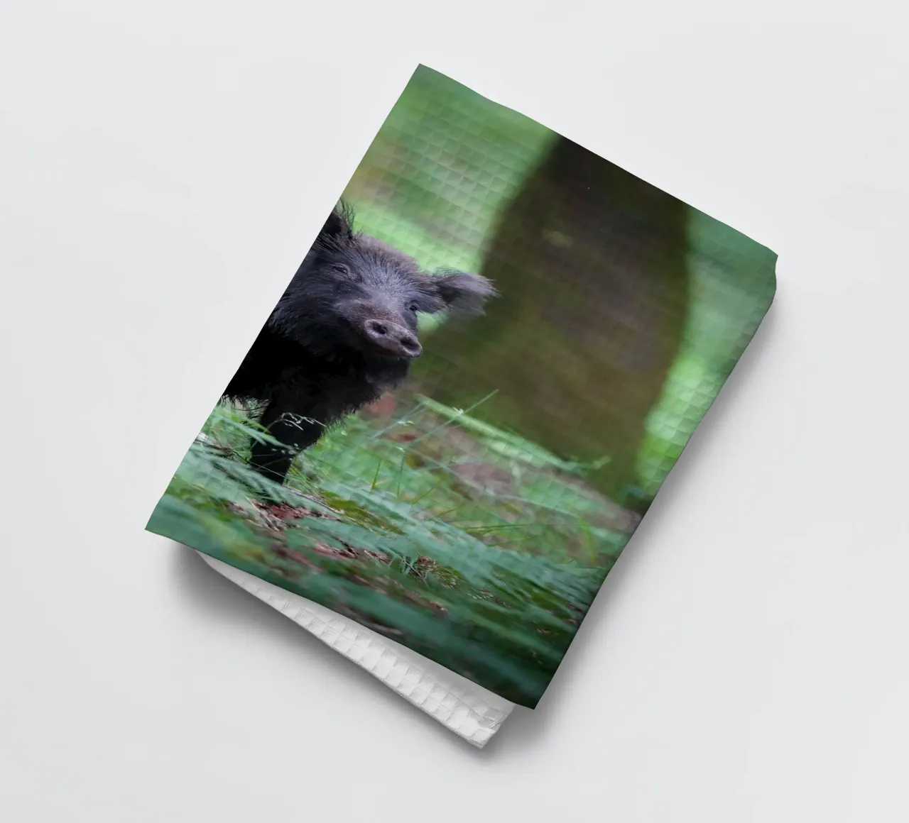 Cinghiale canovaccio da cucina da Tom's Wildlife