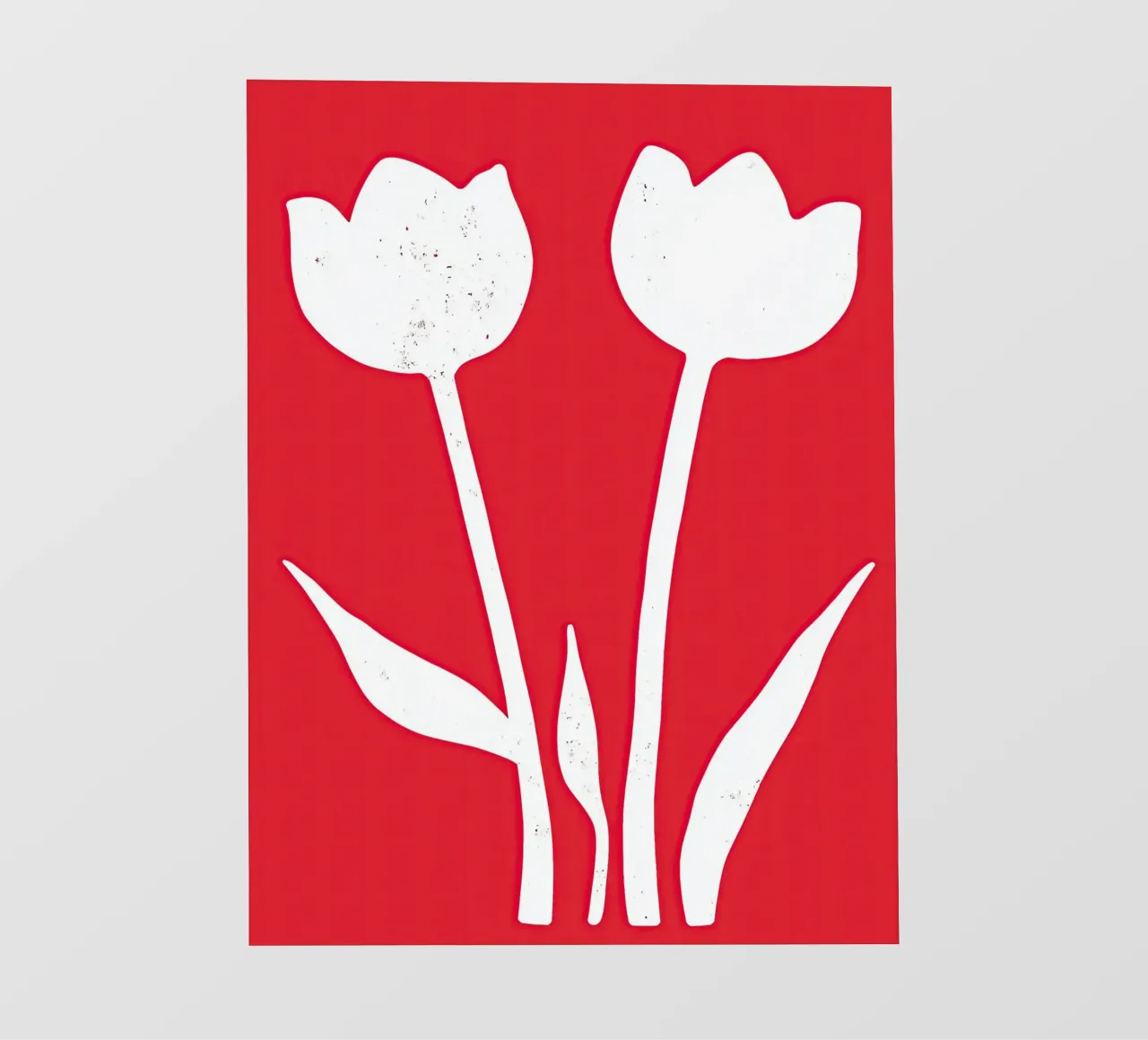 Tulipani bianchi su rosso | Design minimalista pellicola backlit da Autofocus