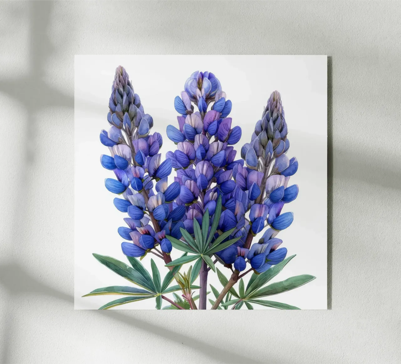 Fiore di lupino 3 plexiglass da Bold Blooms