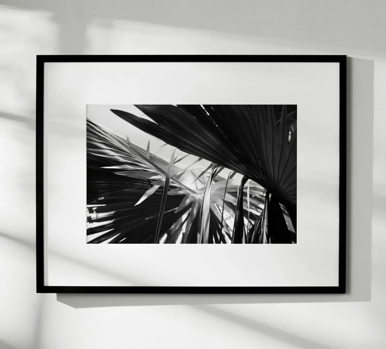 Black and White Palms Leaves Hahnemühle von Léa Lefebvre Photography
