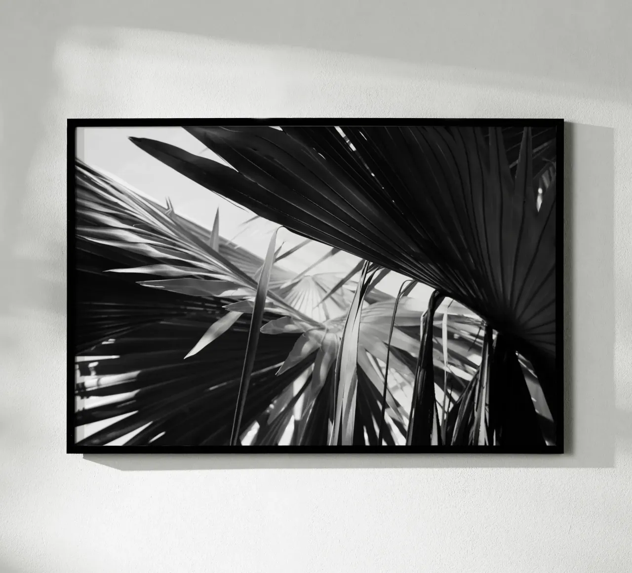 Black and White Palms Leaves Hahnemühle von Léa Lefebvre Photography