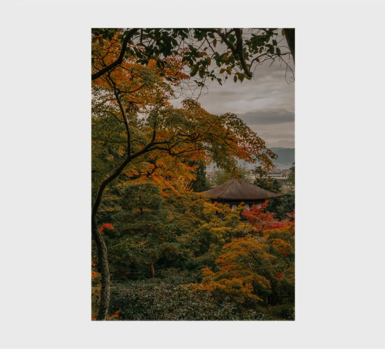 Tempio d'autunno a Kyoto, Giappone diario da Marcel Bisig